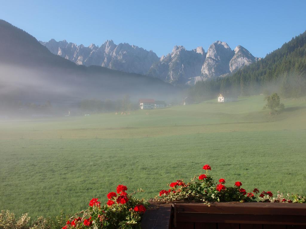 Hotel Fruehstueckspension Pachler Gosau Zewnętrze zdjęcie