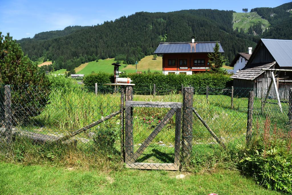 Hotel Fruehstueckspension Pachler Gosau Zewnętrze zdjęcie