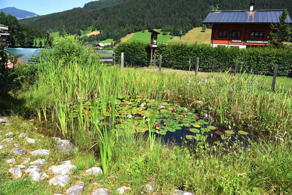 Hotel Fruehstueckspension Pachler Gosau Zewnętrze zdjęcie