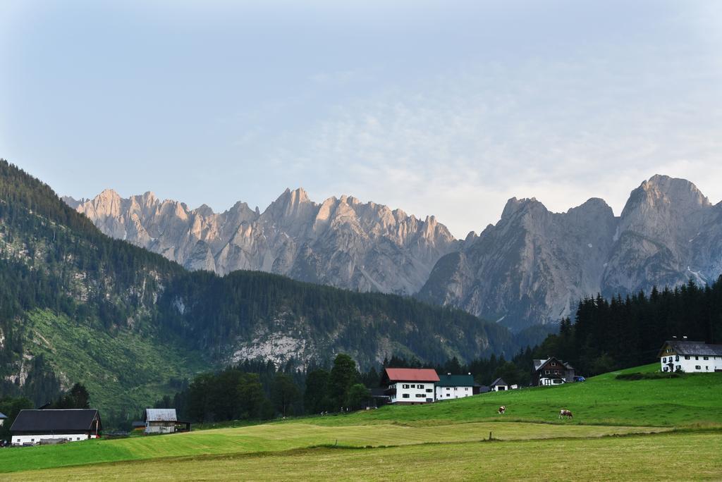 Hotel Fruehstueckspension Pachler Gosau Zewnętrze zdjęcie