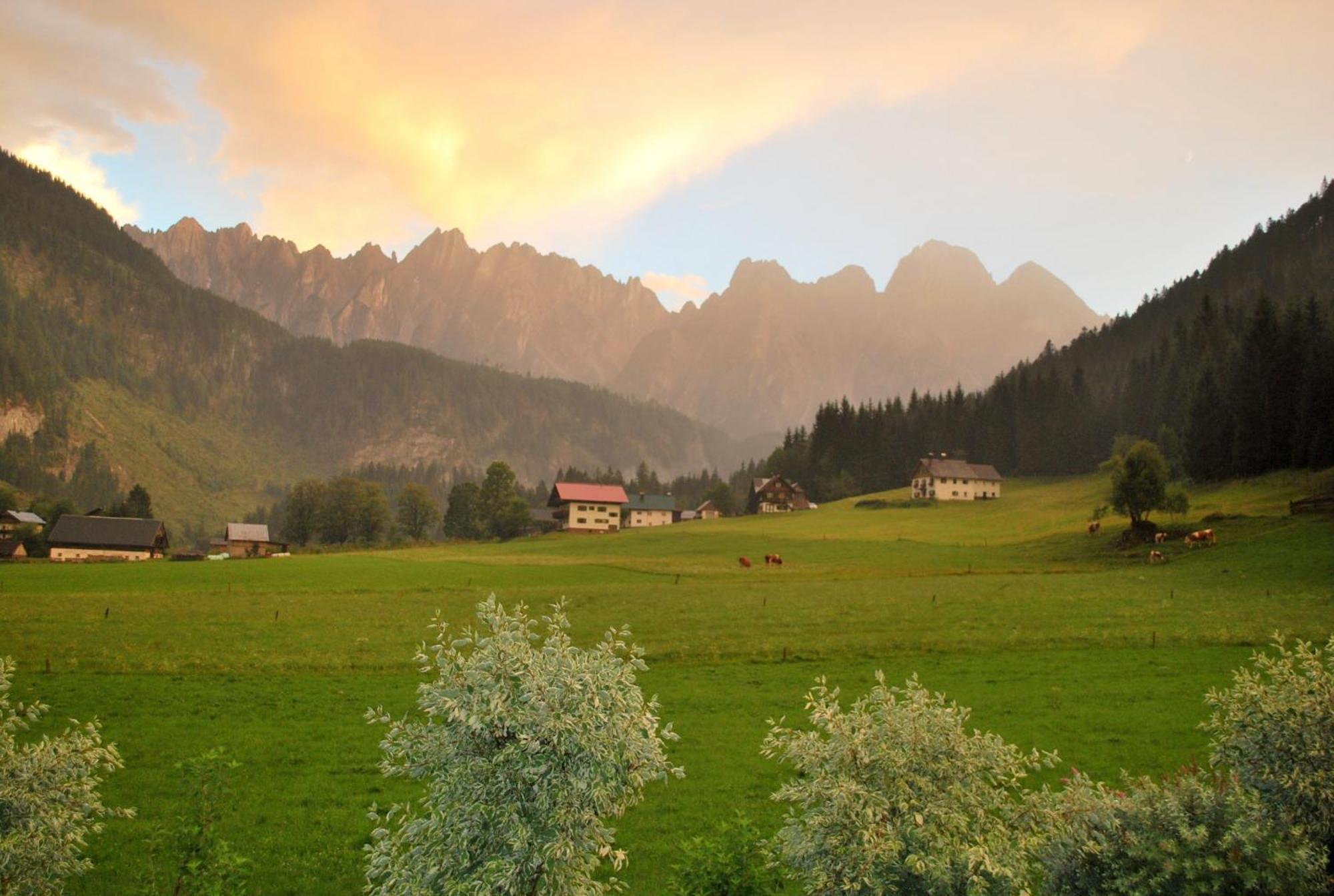 Hotel Fruehstueckspension Pachler Gosau Pokój zdjęcie