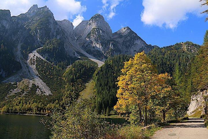 Hotel Fruehstueckspension Pachler Gosau Zewnętrze zdjęcie